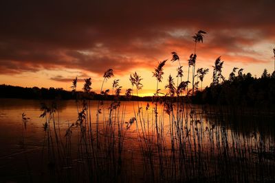 Scenic view of lake against cloudy sky at sunset