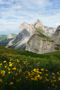 Scenic view of grassy field by mountains against sky