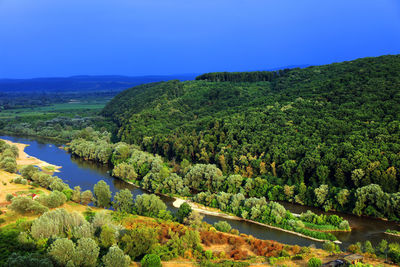 Scenic view of river in forest against clear sky