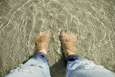 Low section of man standing on beach