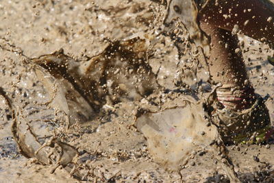 Low section of person standing on mud by sea
