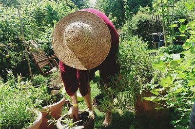 Rear view of woman working on field