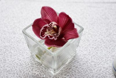 Close-up of maroon orchid in glass container on table