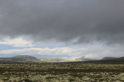 Scenic view of landscape against sky