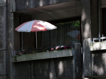 View of umbrellas hanging from tree