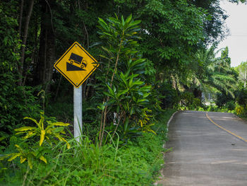 Road sign by trees in city