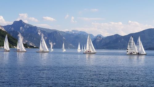 Sailboats sailing in sea against sky