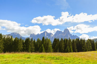 Scenic view of trees and mountains against sky