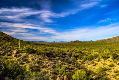 View of landscape against cloudy sky