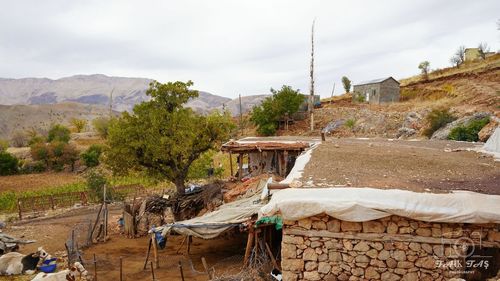 Side view of a horse cart against buildings