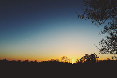 Silhouette trees against clear sky during sunset
