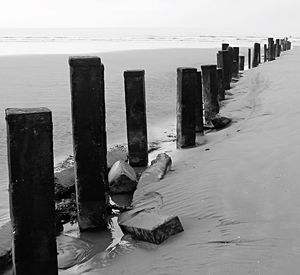 Wooden posts in the sea