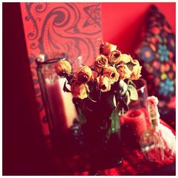 Close-up of red flowers