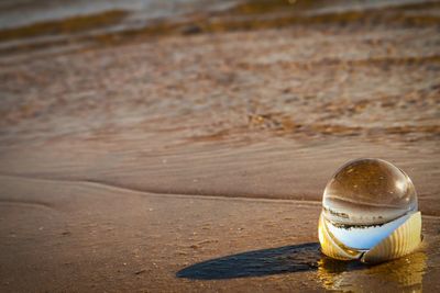 High angle view of ball on table at beach