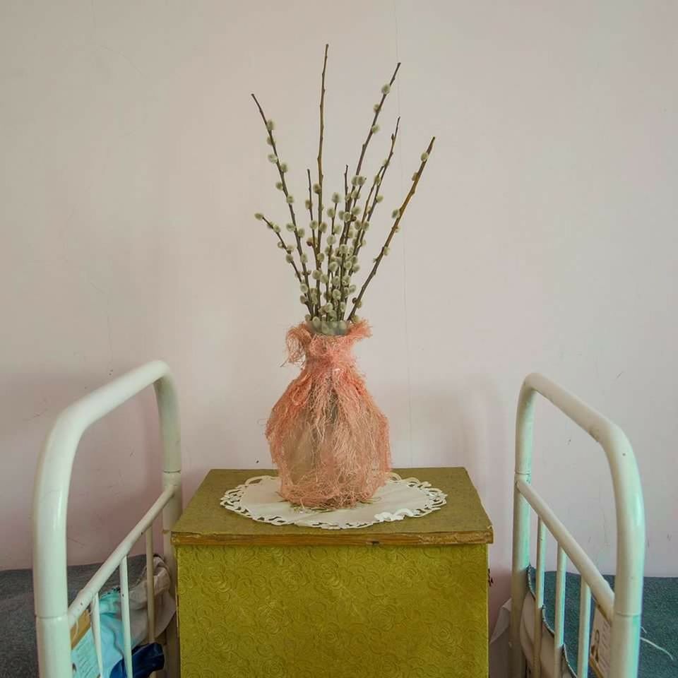 POTTED PLANTS IN THE ROOM