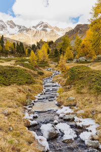 Scenic view of stream amidst trees against sky