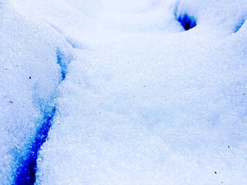 Snow covered trees