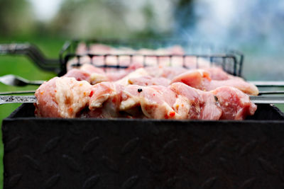 Close-up of meat on barbecue grill