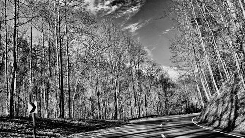 Road passing through forest