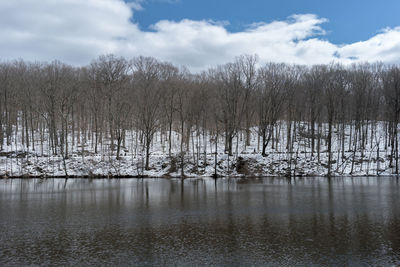 Bare trees in river against cloudy sky