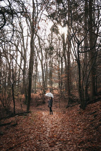 Rear view of woman walking in forest during autumn