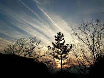 Low angle view of silhouette trees against sky at sunset