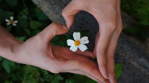 Close-up of hand making heart gesture