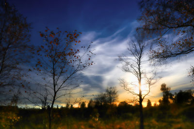 Silhouette trees on field against sky at sunset