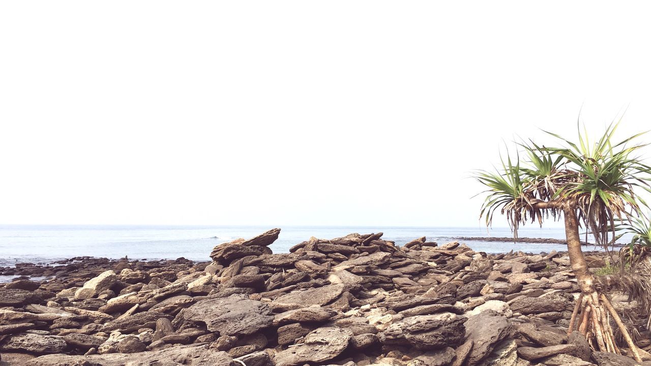 sea, horizon over water, beach, water, clear sky, shore, tranquility, tranquil scene, scenics, rock - object, copy space, beauty in nature, nature, sky, palm tree, sand, rock formation, rock, idyllic, outdoors