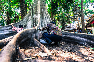 People relaxing on tree trunk in forest