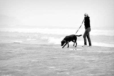 Man with dog walking on beach against sky