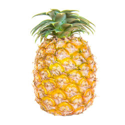 Close-up of apple against white background
