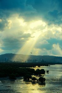 Birds flying over lake against sky