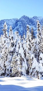 Scenic view of snow covered mountains against sky