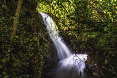 Scenic view of waterfall in forest