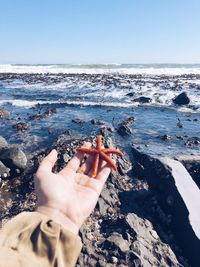 Cropped hand of person holding starfish on beach against clear sky