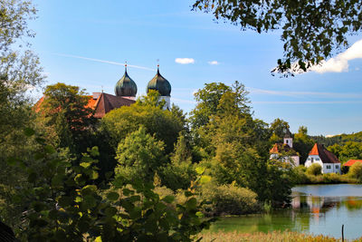 Trees and buildings against sky