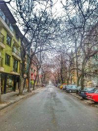 Road amidst bare trees in city