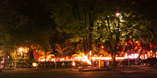 Illuminated trees by sidewalk at night