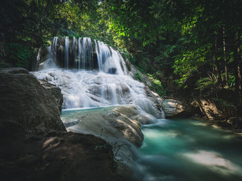 Scenic view of waterfall in forest