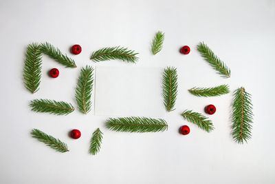 Directly above shot of christmas tree against white background