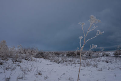 Scenic view of snow covered field against sky