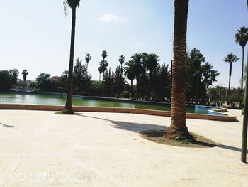 Palm trees by swimming pool against sky