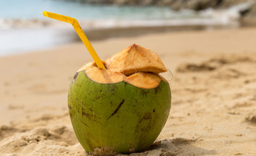 Close-up of fruit on beach