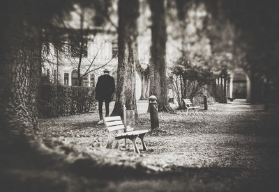 Rear view of woman sitting on bench in park