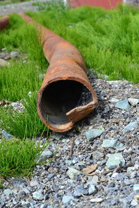 Old rusty chain on field