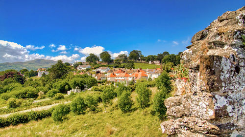 Panoramic shot of trees and buildings against sky