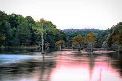 Scenic view of calm lake in forest against clear sky