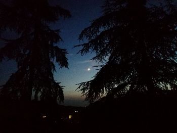 Silhouette trees against sky at night