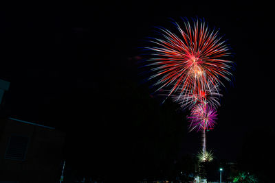 Low angle view of firework display at night